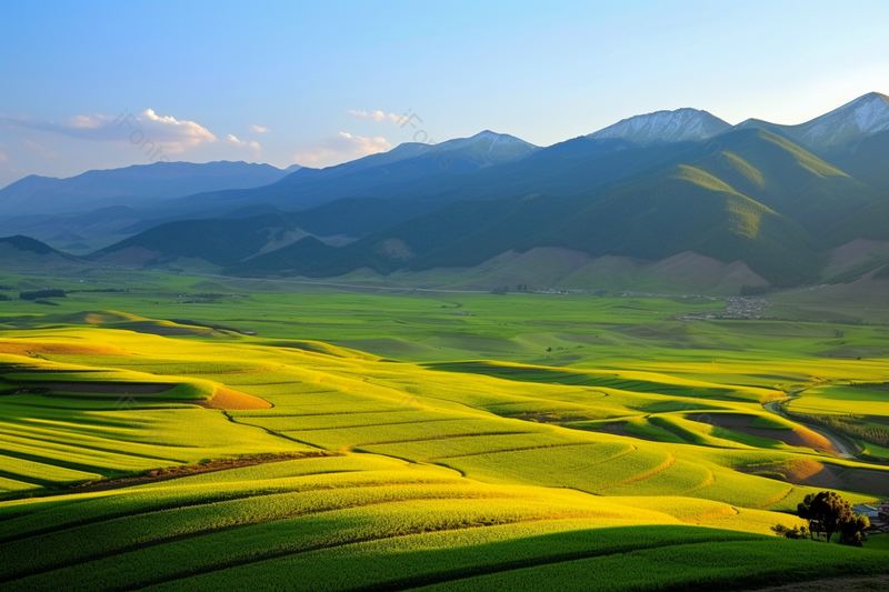美丽的绿色田野恬静乡村地形地势,高清,摄影图,摄影图片,图片大全,摄影图免费下载